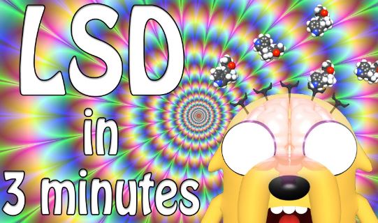 how-long-does-lsd-stay-in-system