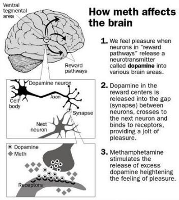 stroke signs flavor