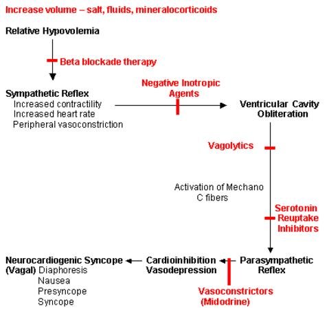 neurocardiogenic-syncope-management-protocol