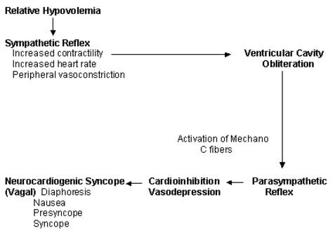 neurocardiogenic-syncope-vasovagal