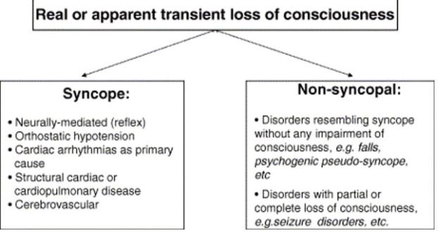 syncope-causes-risk-factors