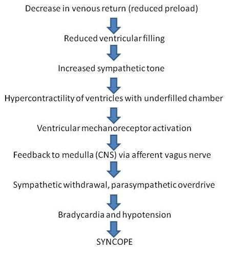 syncope-mechanism