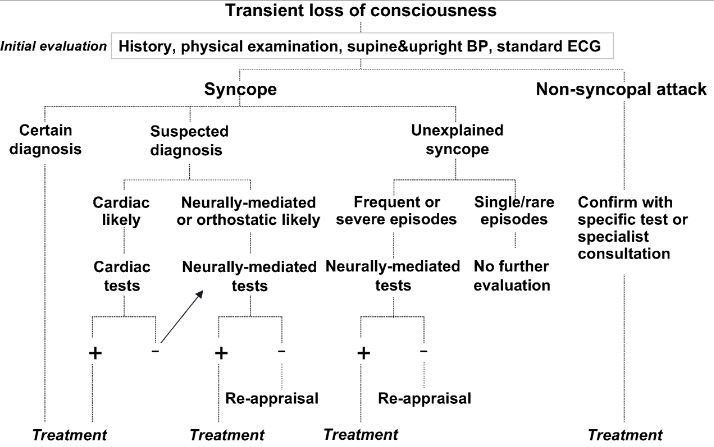 cataplexy vs syncope