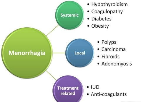 Menorrhagia Causes