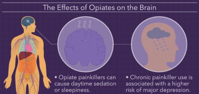 Opiates effect on Brain