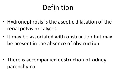 Hydroureteronephrosis definition