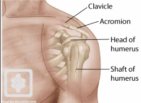 Labral Tear of shoulder